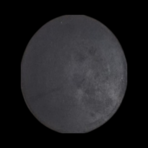 Diaphram